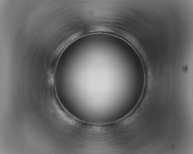 X0000112461241200908241251