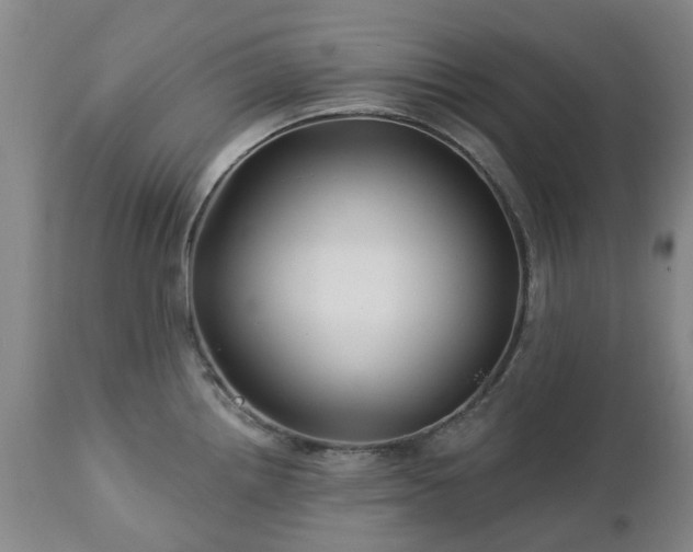 X0000112461242200908241251