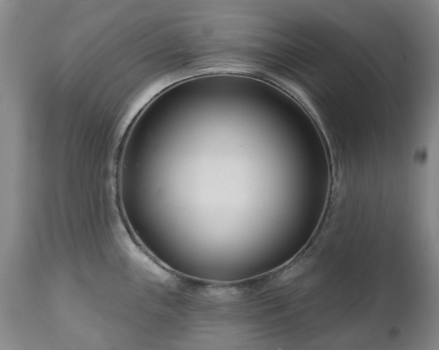 X0000112461243200908241251