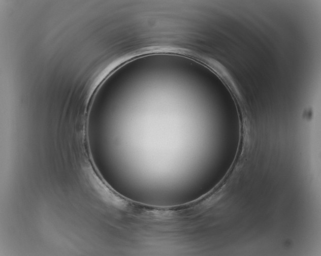 X0000112461244200908241251