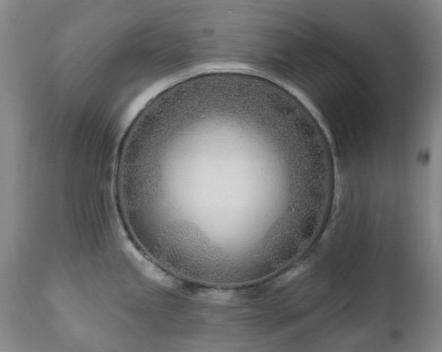 X0000112461245200908241251