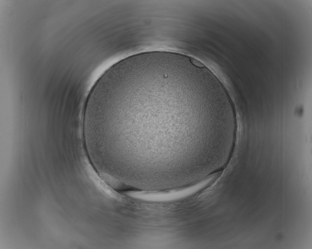 X0000112461246200908241251