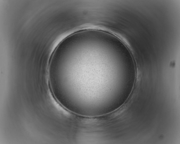 X0000112461247200908241251