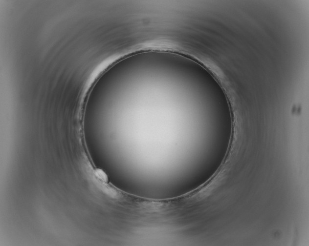 X0000112461248200908241251