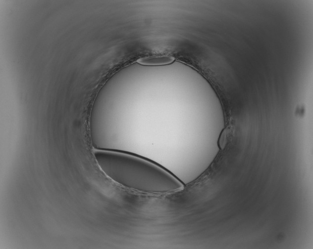 X0000112461249200908241250