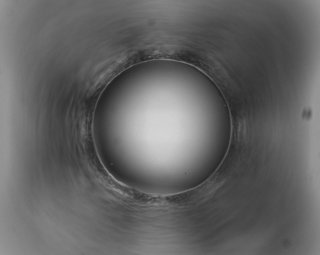 X0000112461250200908241250