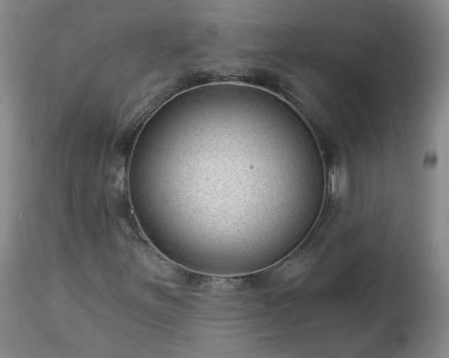 X0000112461251200908241250