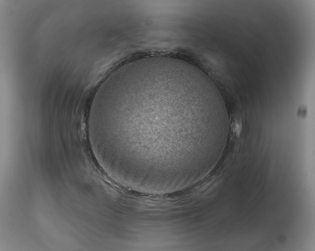 X0000112461252200908241250