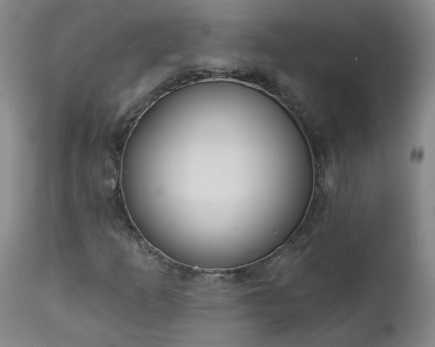 X0000112461253200908241250