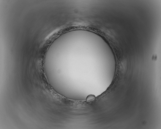 X0000112461254200908241250