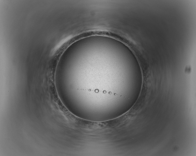 X0000112461255200908241250