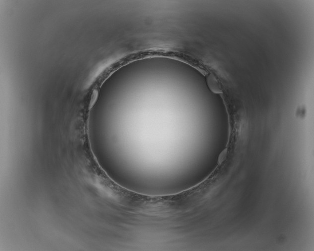 X0000112461256200908241250