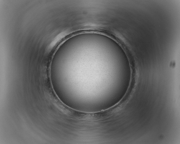 X0000112461259200908241249