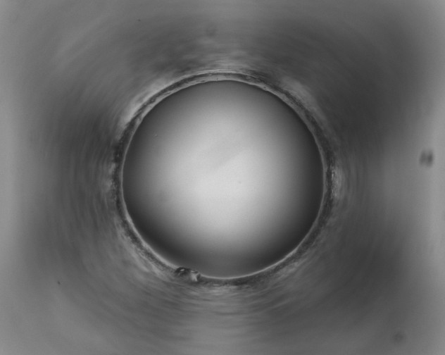 X0000112461260200908241249