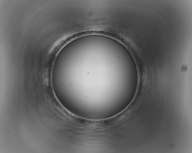 X0000112461262200908241249