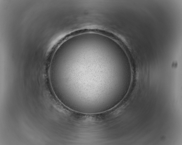 X0000112461263200908241249