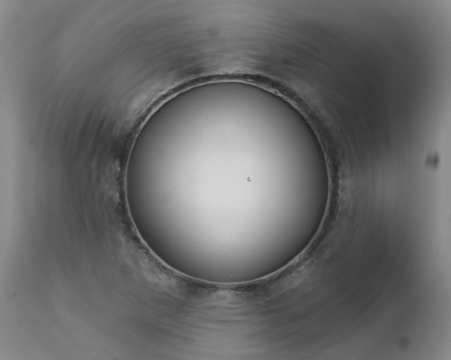 X0000112461265200908241249