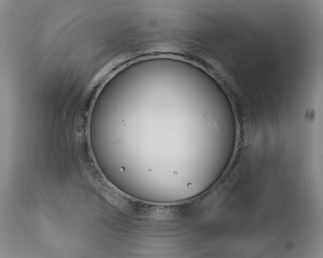 X0000112461266200908241249