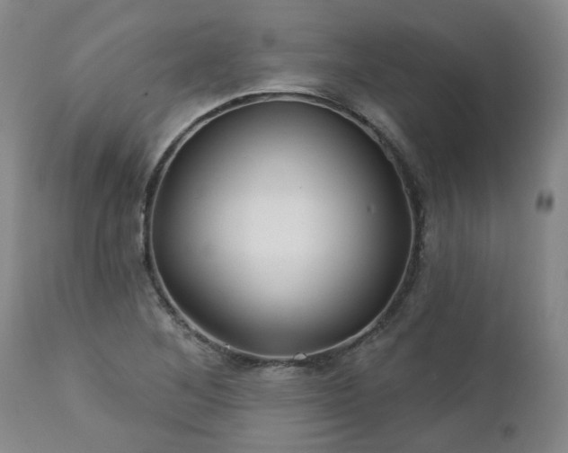 X0000112461268200908241249