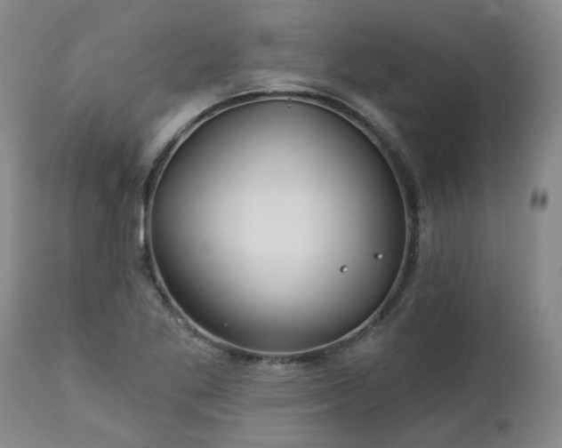 X0000112461269200908241249