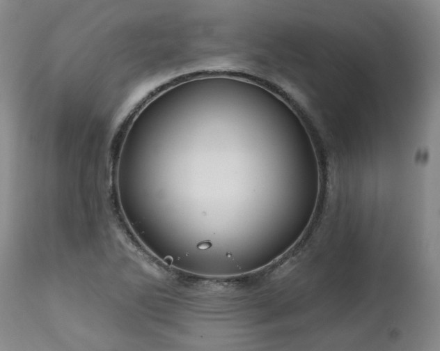 X0000112461270200908241249