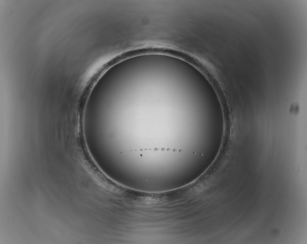 X0000112461271200908241249