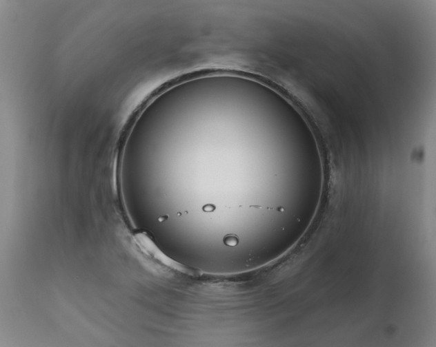 X0000112461272200908241249