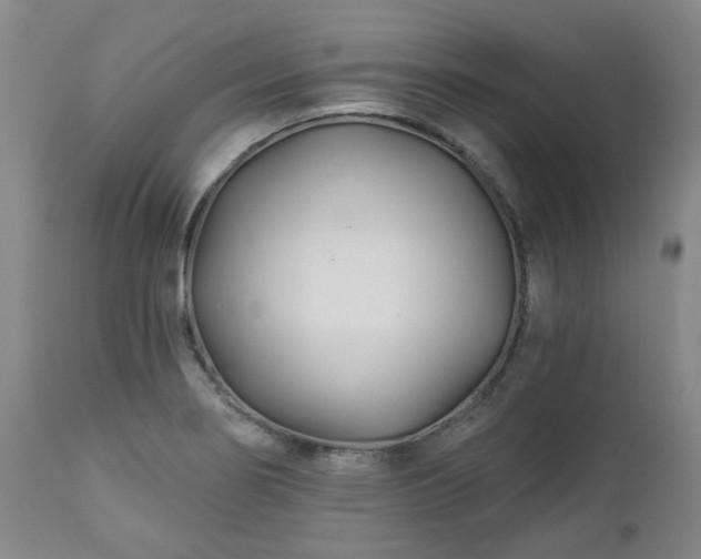 X0000112461274200908241249