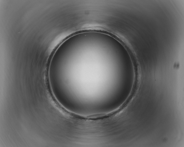 X0000112461277200908241249