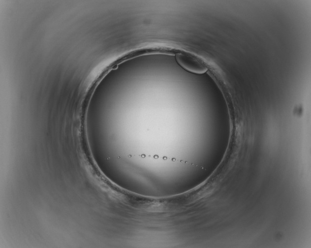 X0000112461279200908241249