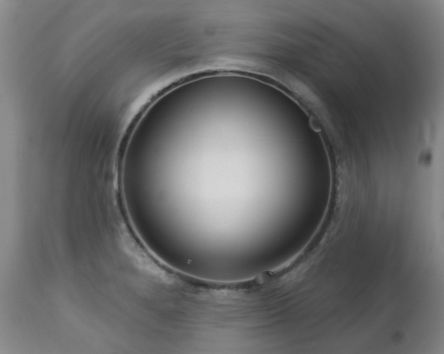 X0000112461280200908241249