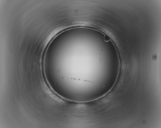 X0000112461283200908241249