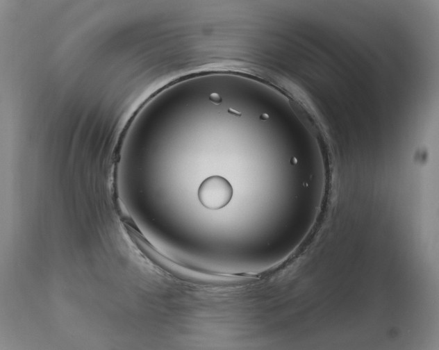 X0000112461284200908241249