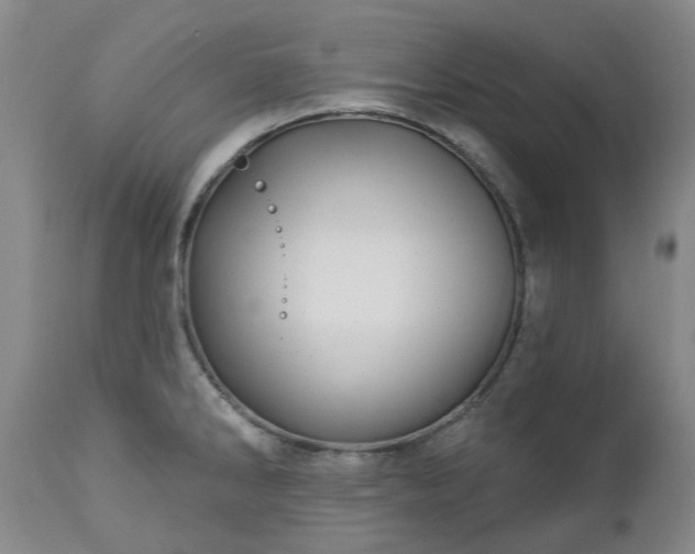 X0000112461286200908241249