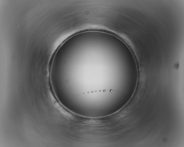 X0000112461287200908241249