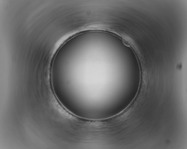 X0000112461288200908241249