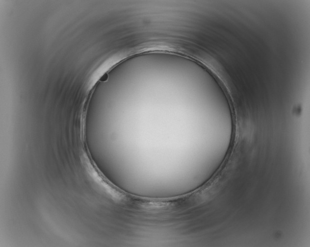 X0000112461290200908241249