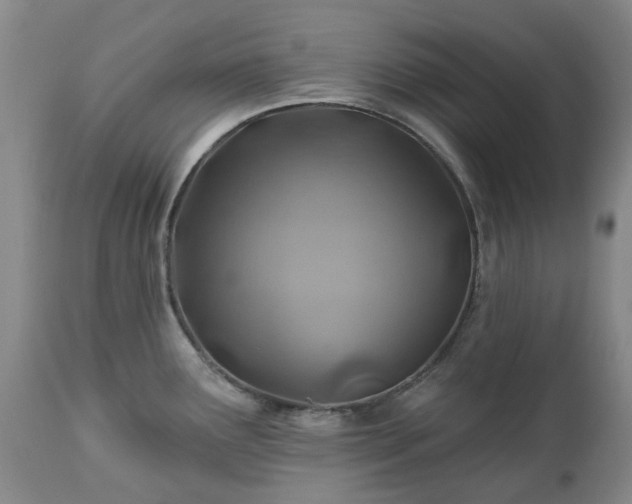 X0000112461291200908241249