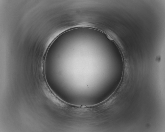 X0000112461292200908241249