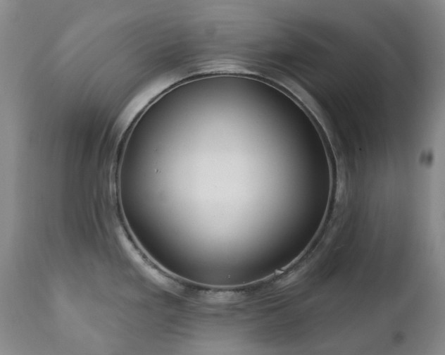 X0000112461293200908241249