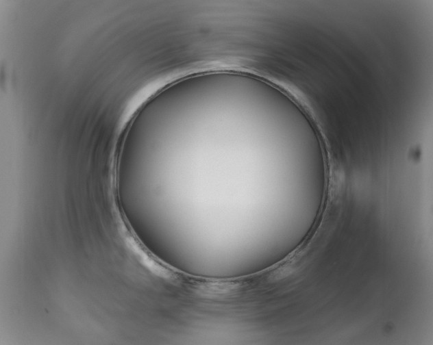 X0000112461294200908241249