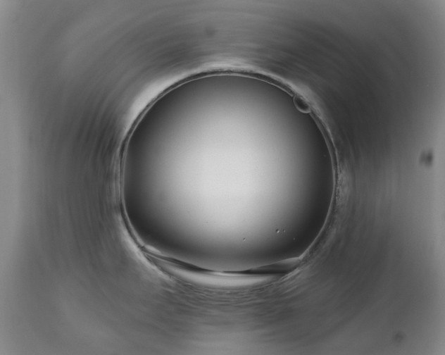 X0000112461295200908241249