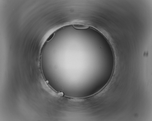 X0000112461296200908241249