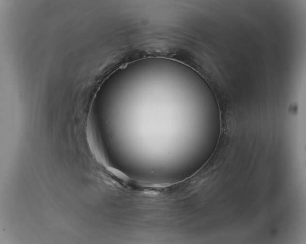 X0000112461297200908241248