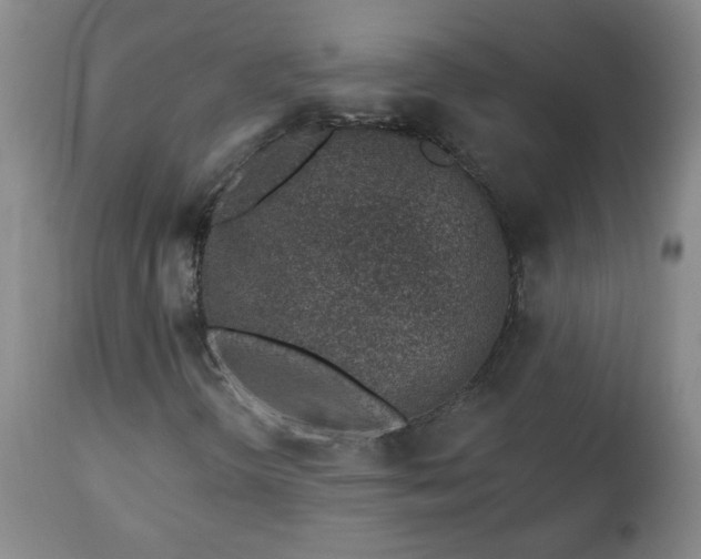 X0000112461298200908241248