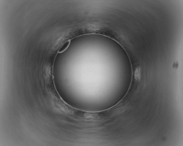 X0000112461299200908241248