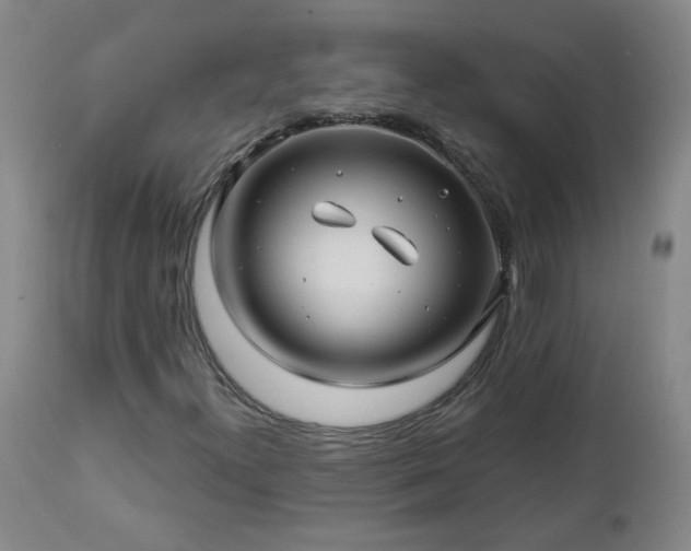 X0000112461300200908241248