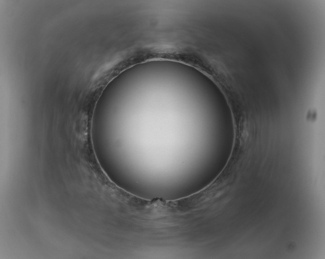 X0000112461301200908241248