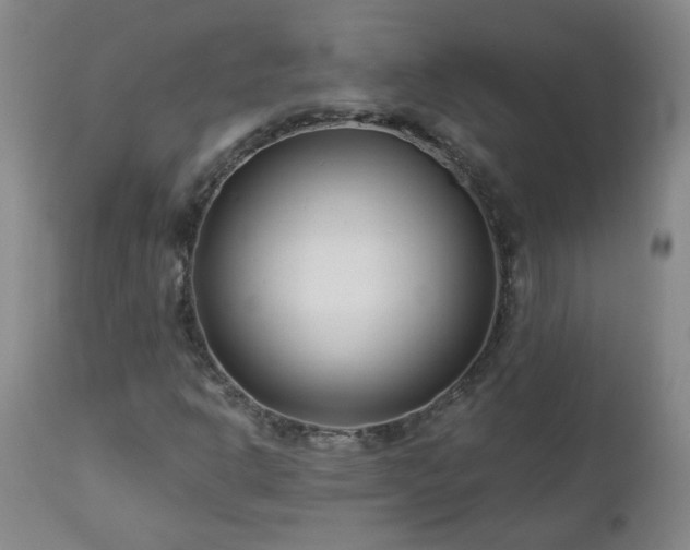 X0000112461302200908241248