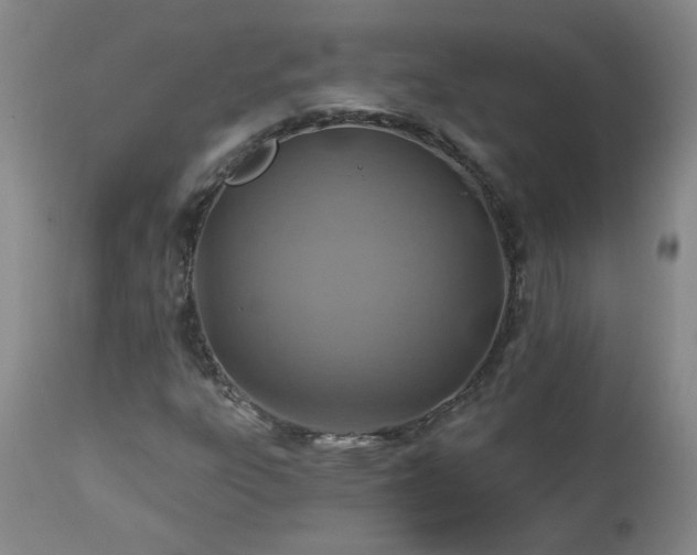 X0000112461303200908241248